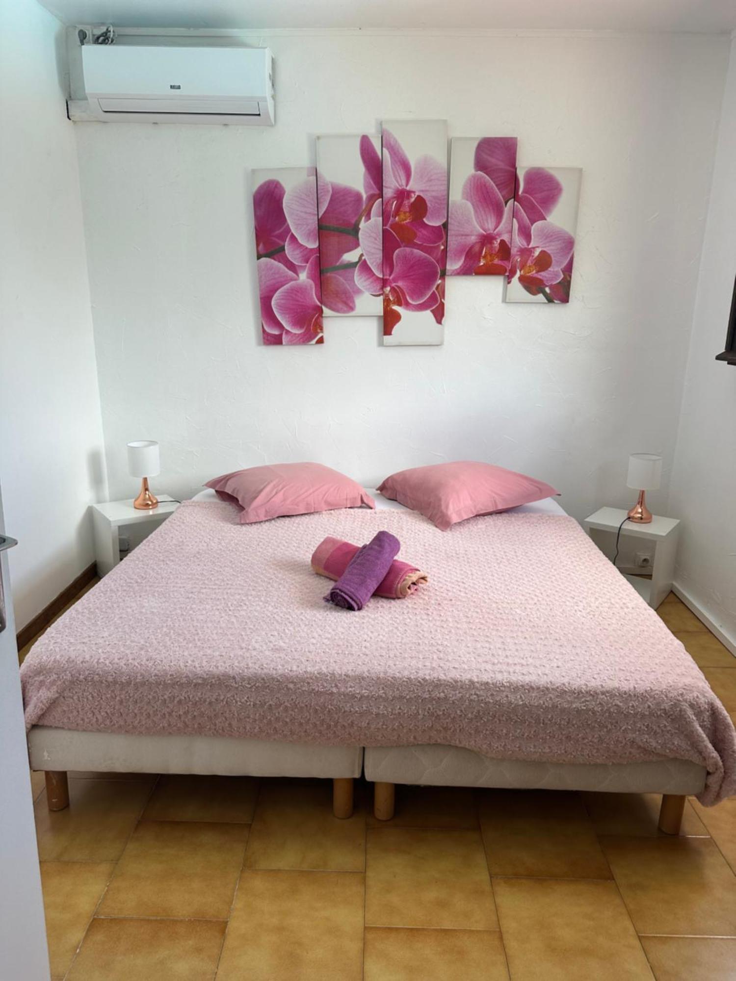Villa Les Orchidees Et Villa Alpinia Petit-Bourg Eksteriør billede